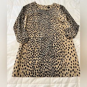 JCrew factory shift dress